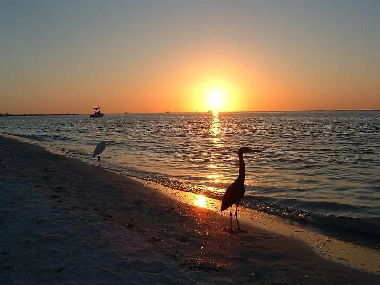 Gulfview Manor 4*