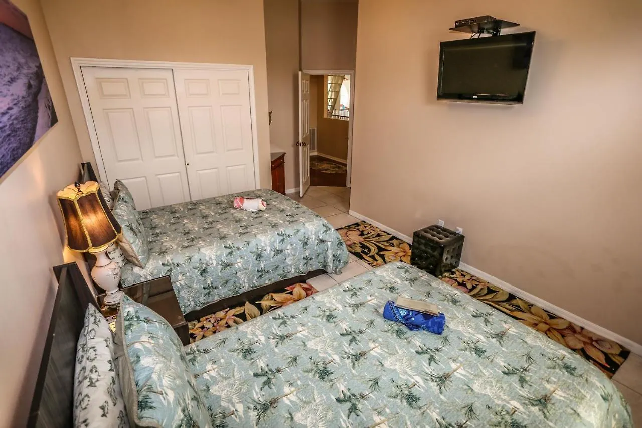 244 Flamingo *