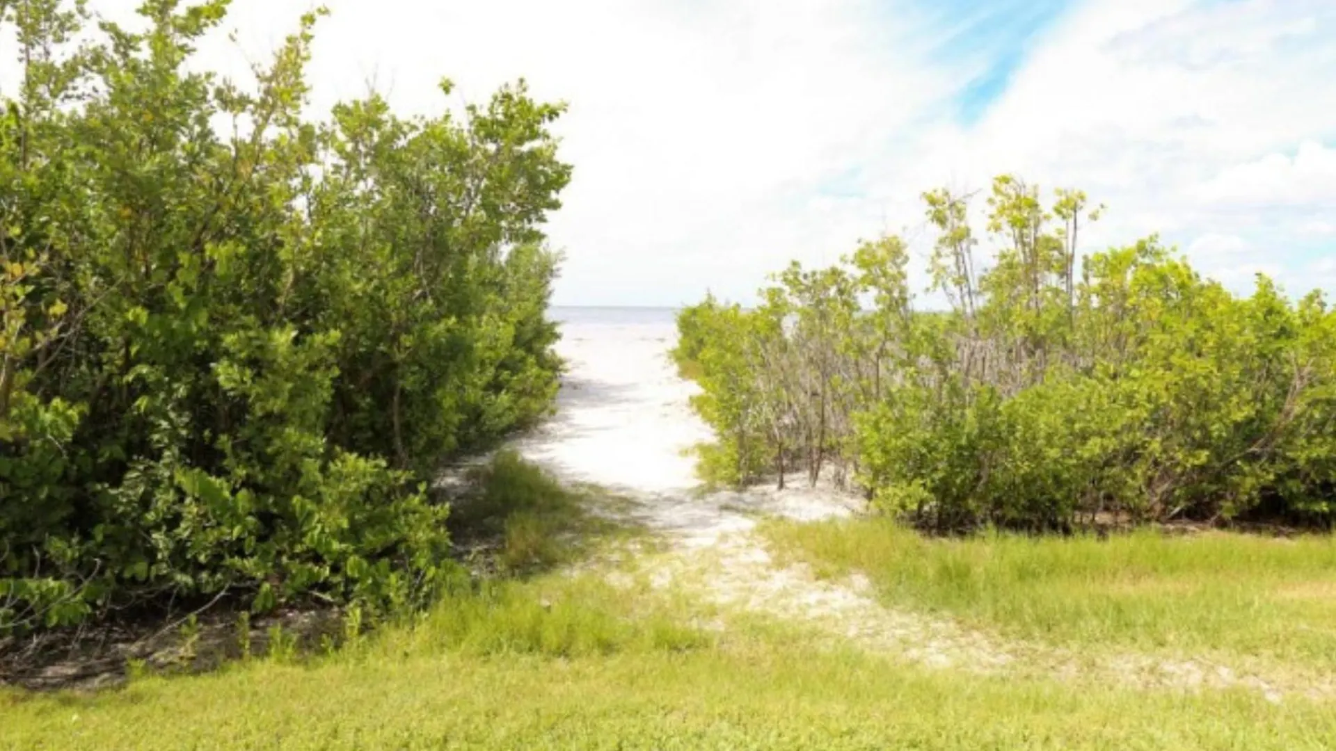 Estero And Tennis 703b * Fort Myers Beach