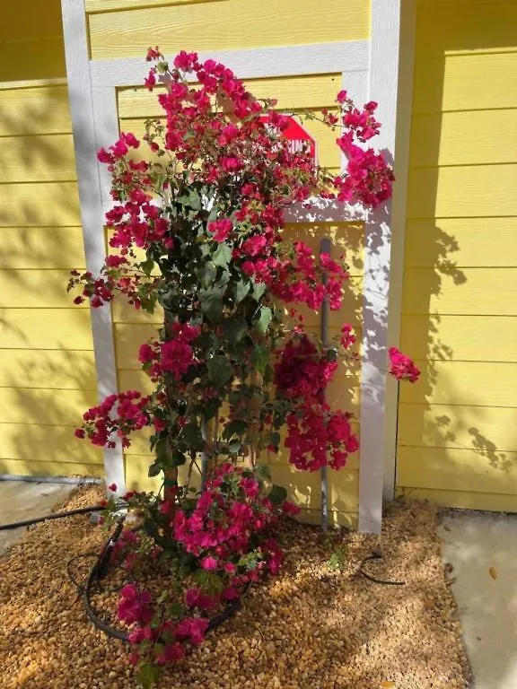Nature View #3