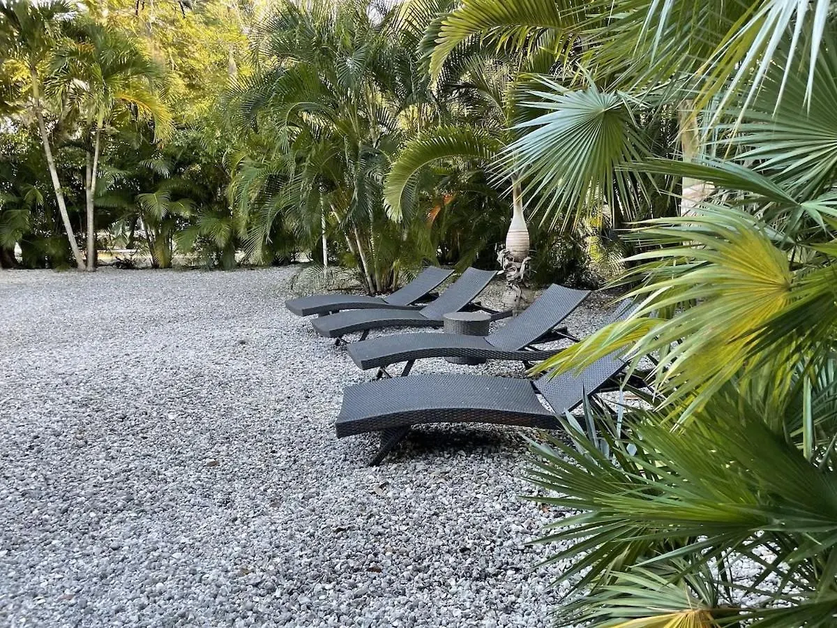 Mid Island Tranquility, Heated Pool, Steps To The - Coconut - Roelens