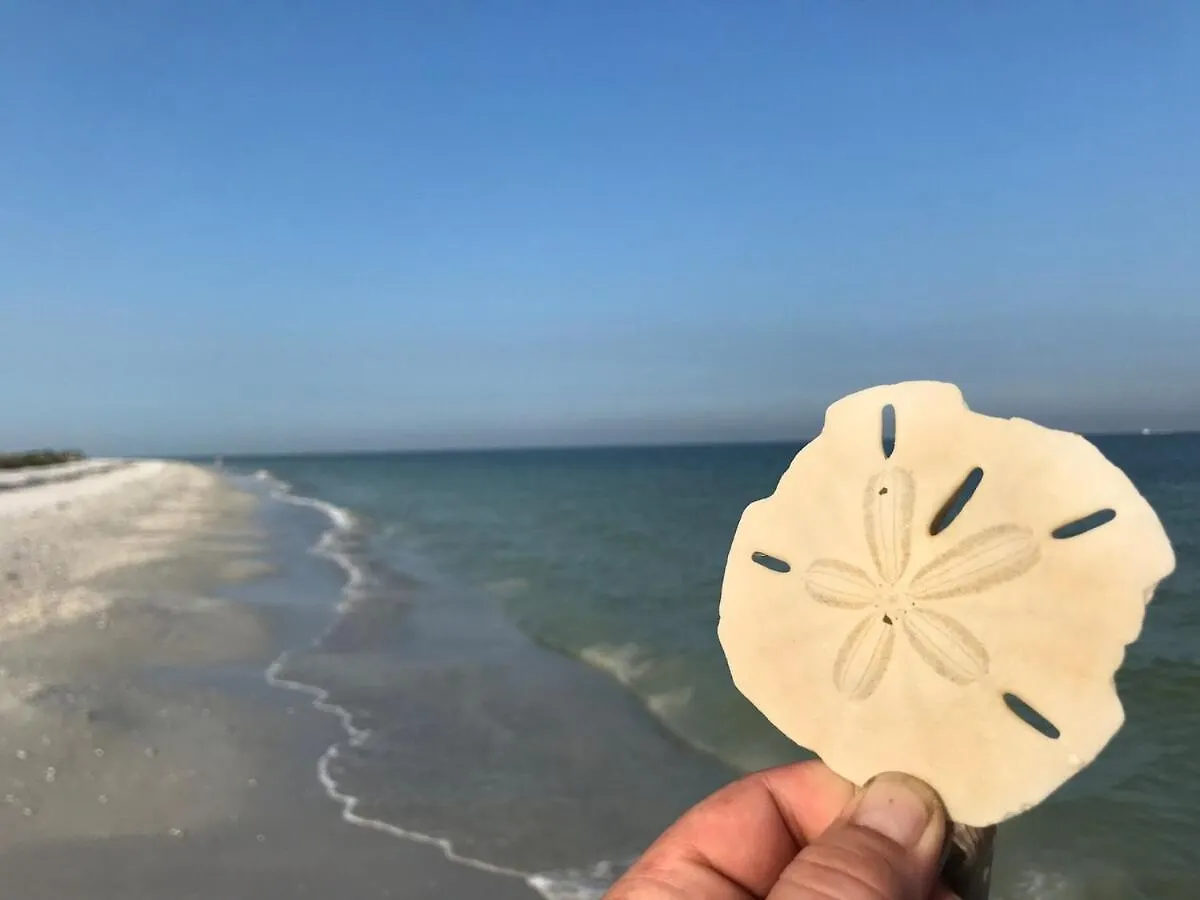 Beachfront Lovers Key Fort Myers Beach