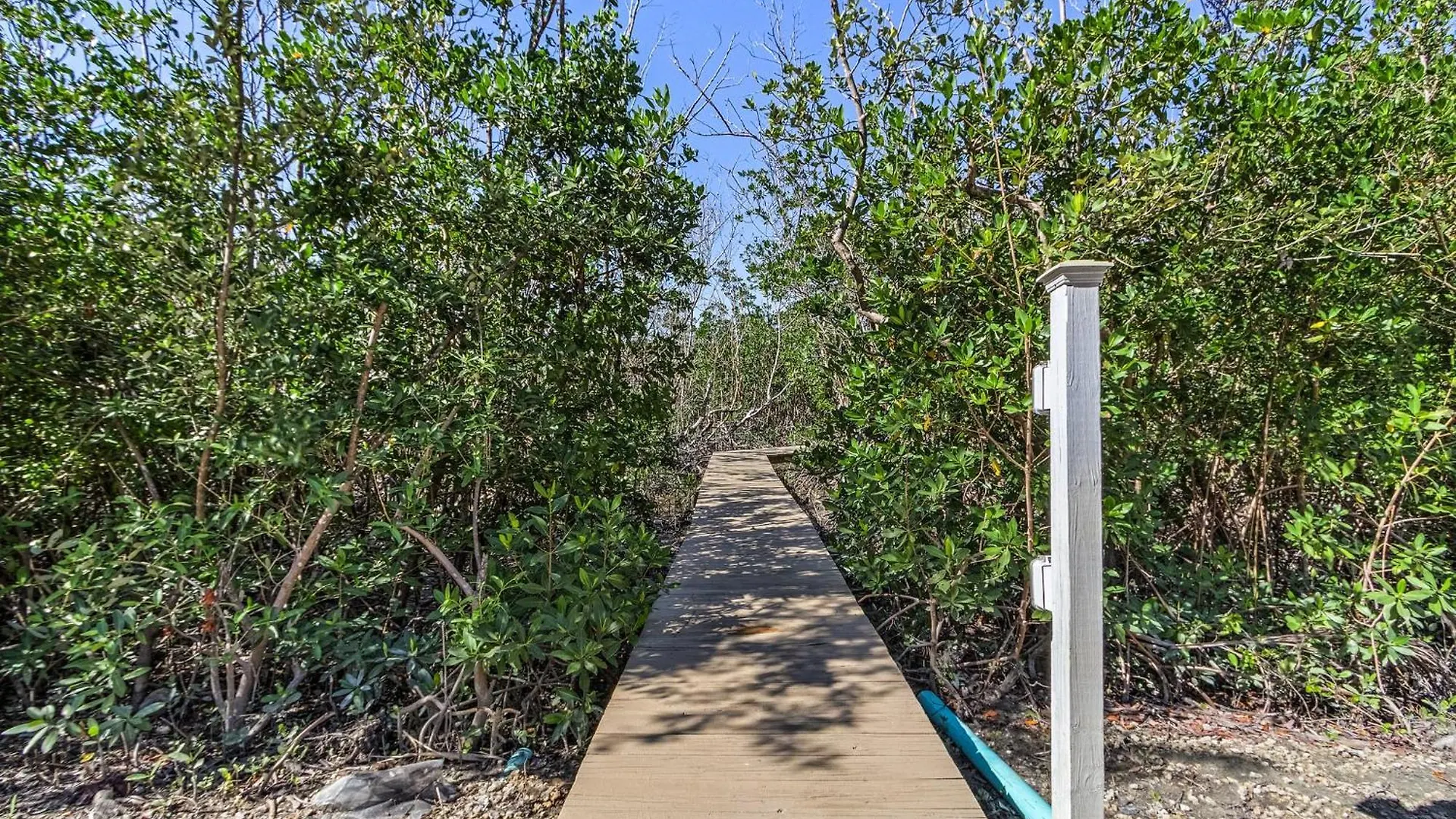 Close To Beach, Secluded Pier With Partial Bay Views - Blue Bayou A - Roelens
