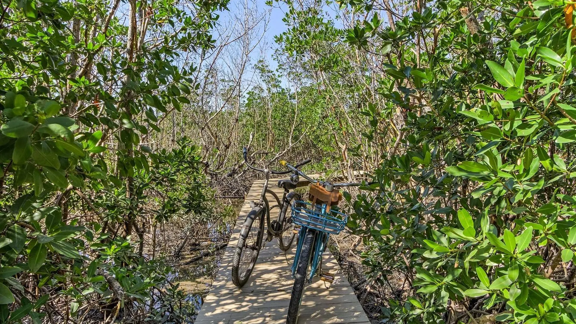 Close To Beach, Secluded Pier With Partial Bay Views - Blue Bayou A - Roelens Nyaraló *