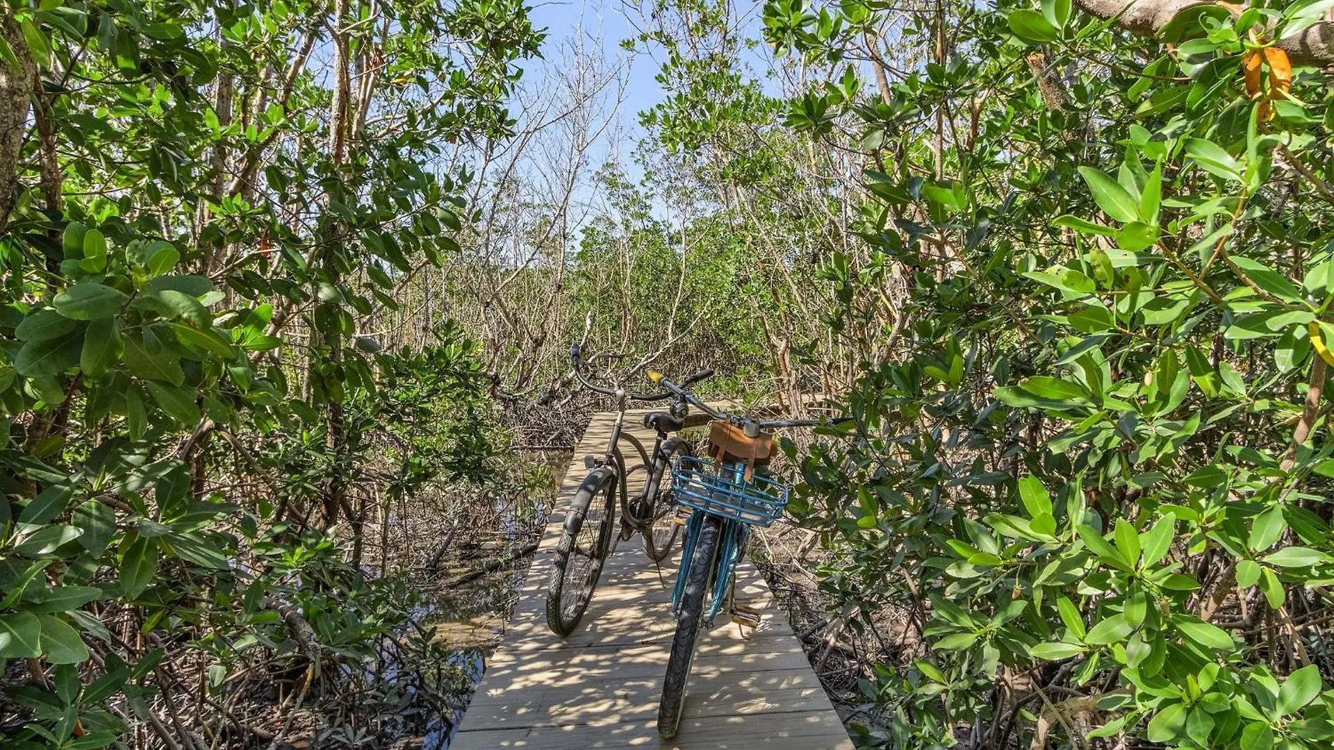 Close To Beach, Secluded Pier With Partial Bay Views - Blue Bayou A - Roelens *
