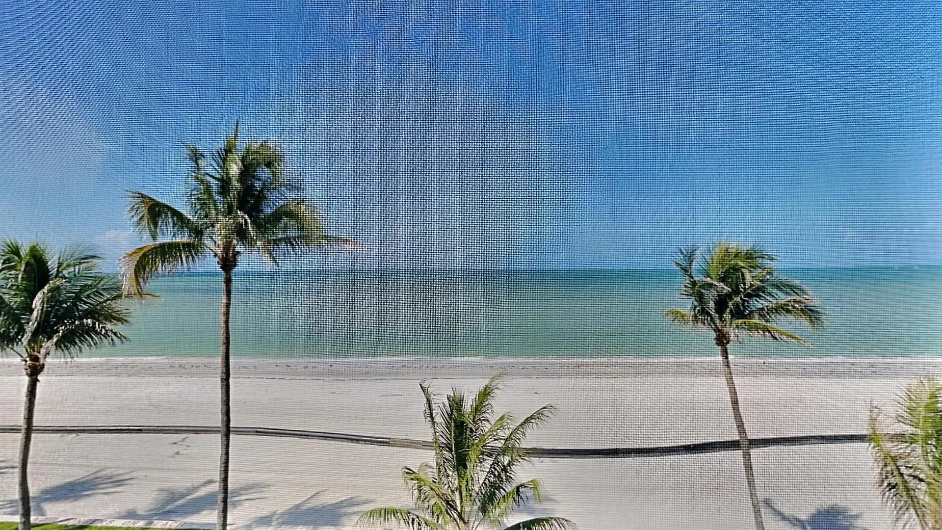 Seaside 310