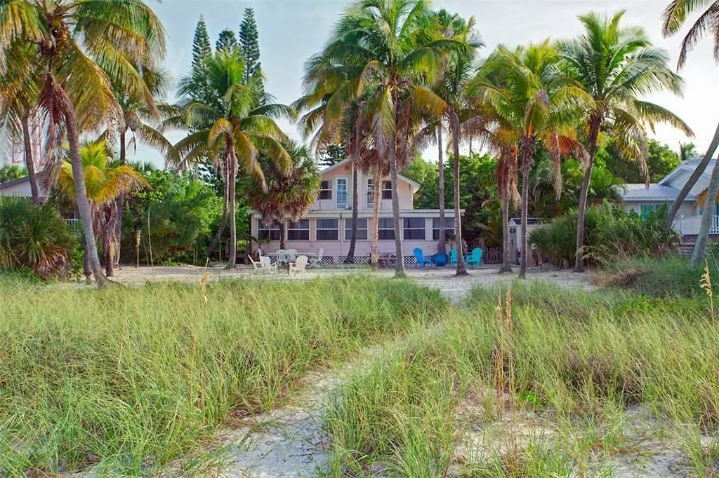 Beachfront Dunes