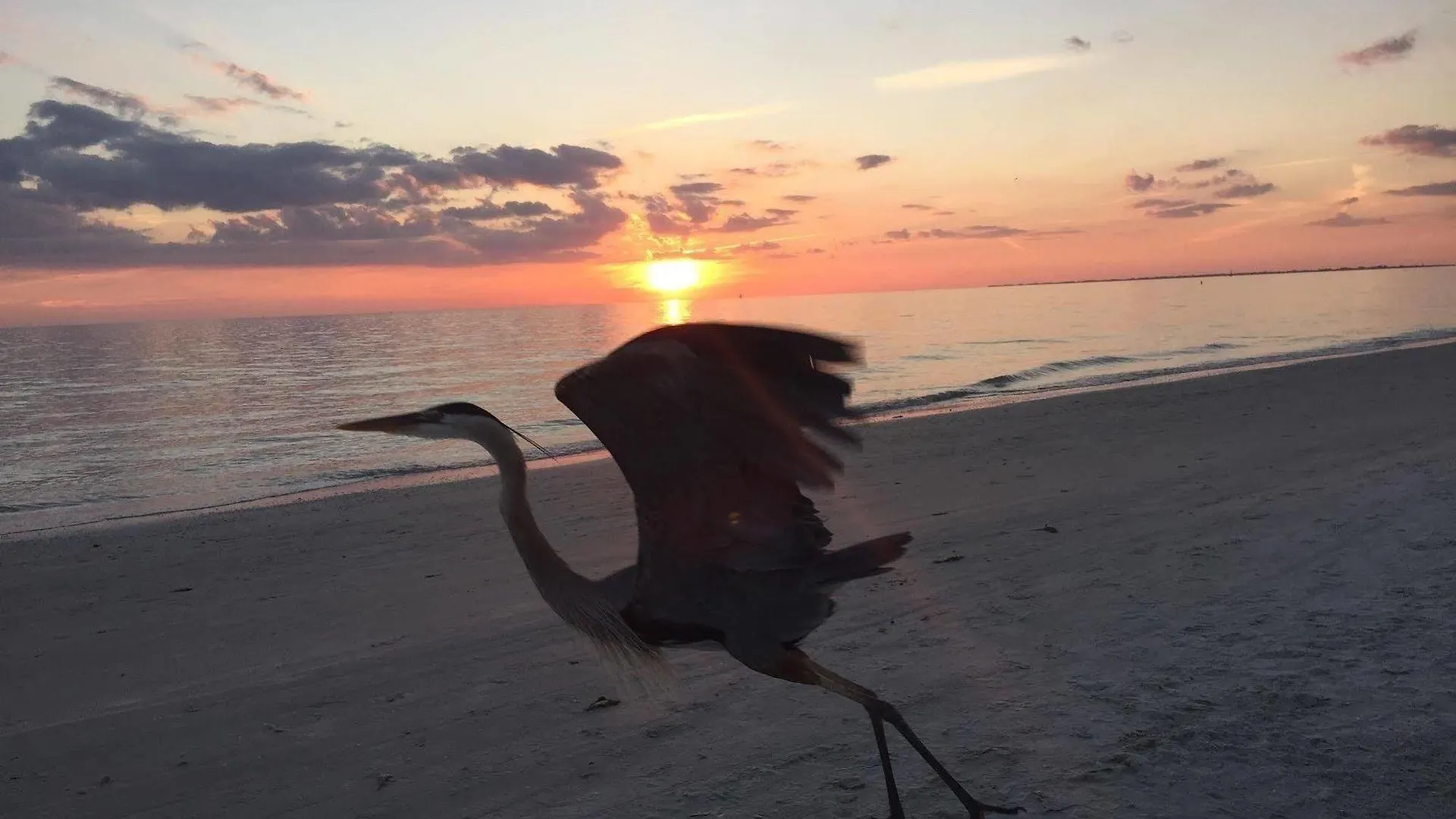 1 Island Hideaway Fort Myers Beach