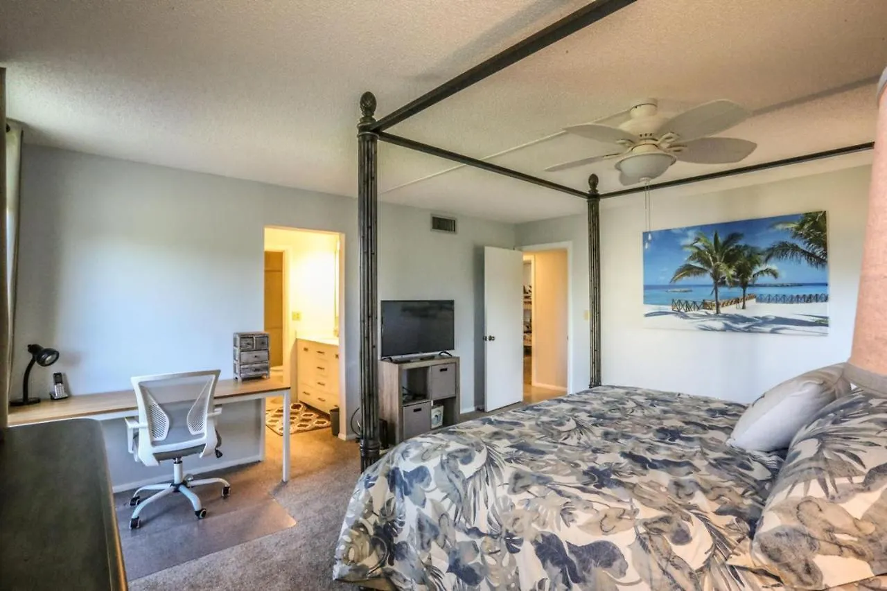 Palms 3a